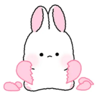 🐇