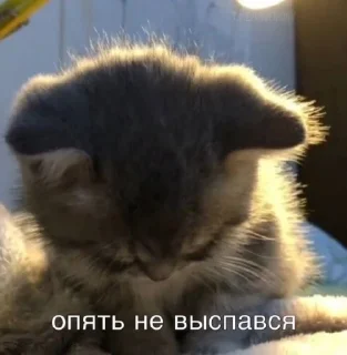 😔