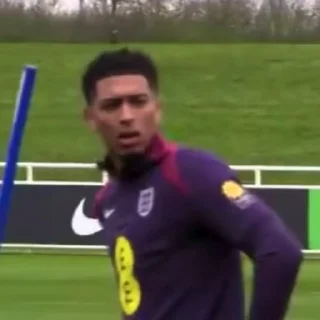 🤍