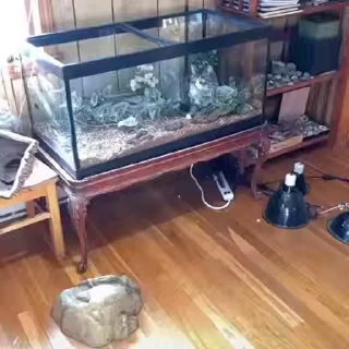 😁