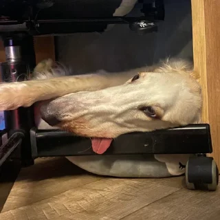😋