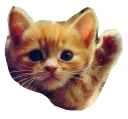 🖐