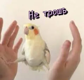 🤗