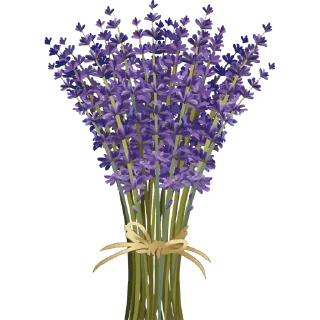 💐