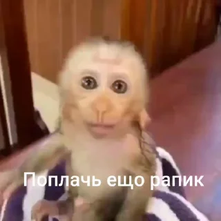🤩