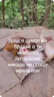 👿