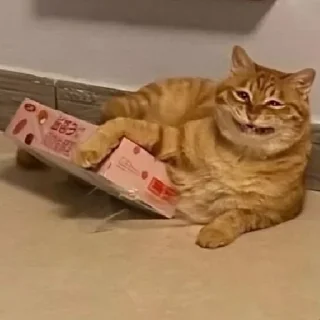 😬