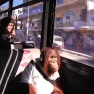 🚌