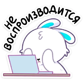 🐰