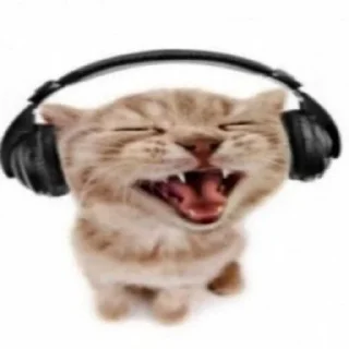 🎧