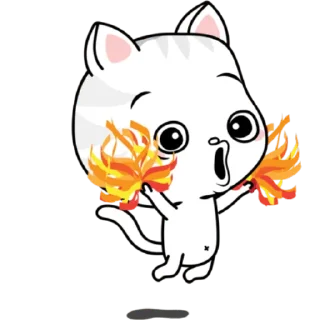 😺