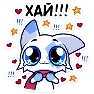 🐱