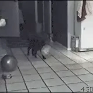 🎈