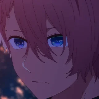 🌟