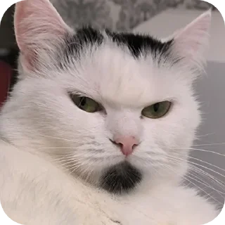 😠