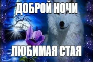 🐺