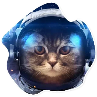 🌚