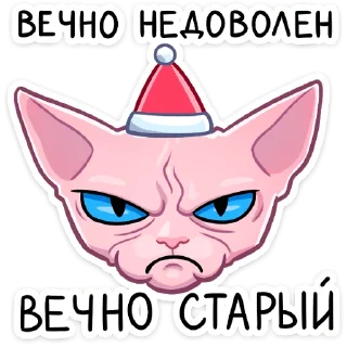 😠