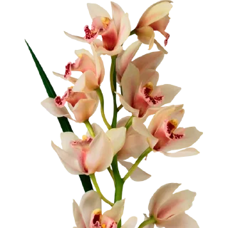 💐