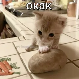 😯