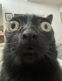 😳