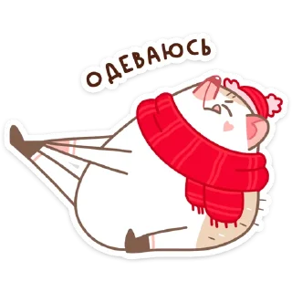 🧦