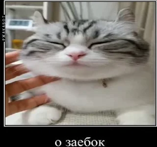 😋