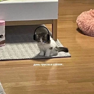 😭