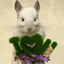 💚