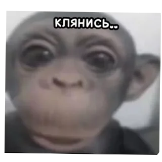 🤲
