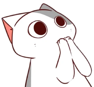 🐈
