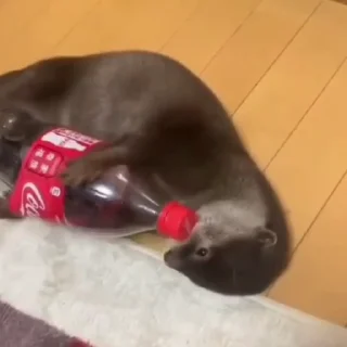 🥤