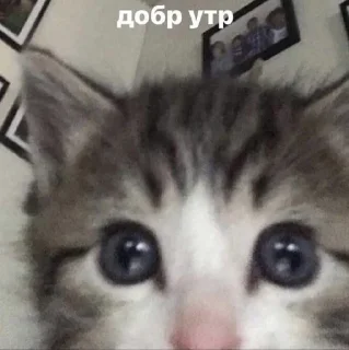 💋