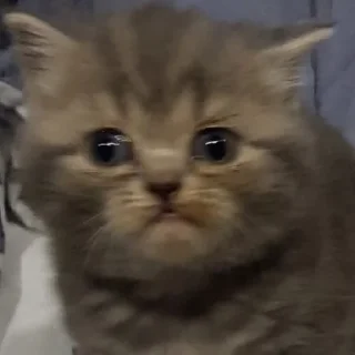 😳