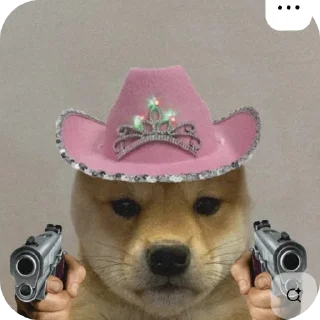 🎩