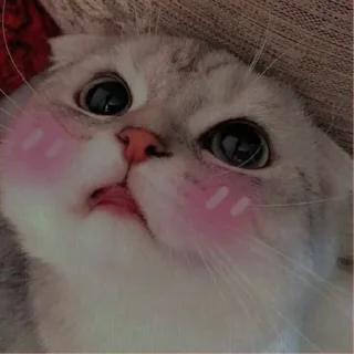 💗