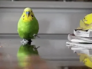 😀