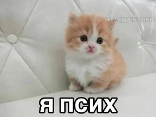 🤩
