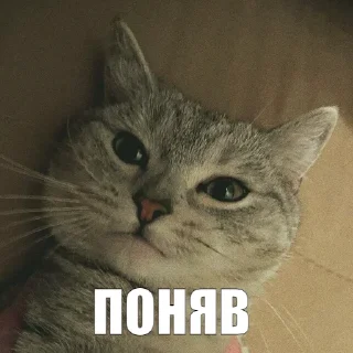 👌