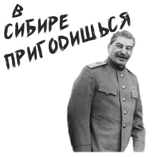 👌