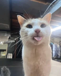 😛