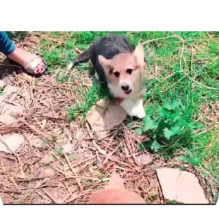 👍