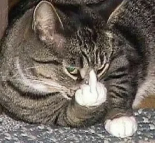 🖕