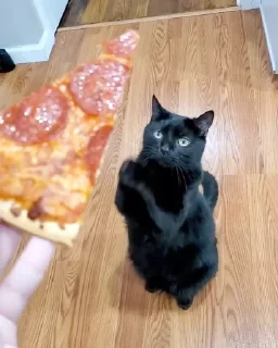 🍕