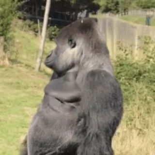 🤨