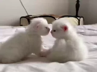 😘
