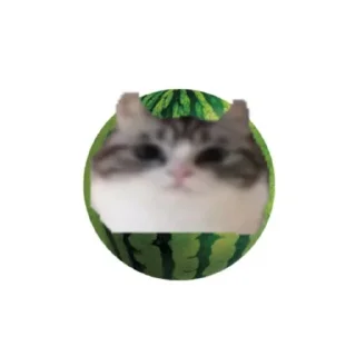 🍈