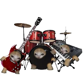 🎸