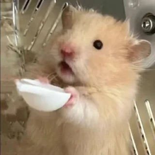 😋