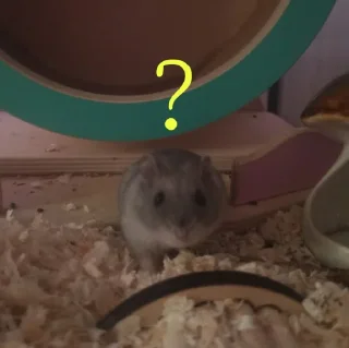 ❓